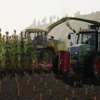 Farming Simulator 19 26.12.2019 08_36_16