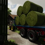 Ballen rein holen