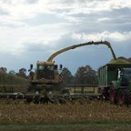 Krone Big X 1100 und Fendt Vario 718 mit Wernsmann HKL