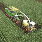 Mais Einfahren mit Fendt 926