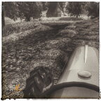 Eicher Königstiger - Erinnerungen