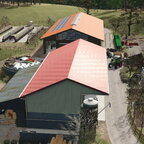 Frühling auf der Alp