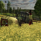 Blütenbehandlung im Raps