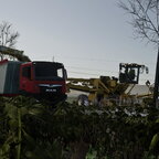 Bilder der letzten Tage :D