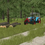 Eicher im Wald