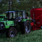 Füttern im Frühling