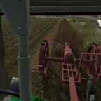 Bilder der letzten tage