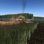 Steht im September noch das Korn, ist es wohl vergessen worn. :)