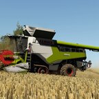 Wheat harvest