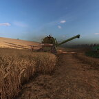 Steht im September noch das Korn, ist es wohl vergessen worn. :)