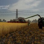 Endlich ernten! Der Roggen kommt rein