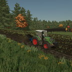 313Vario+Rabe