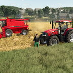 Hafer dreschen