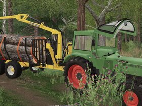 Fendt im Wald