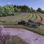Silage im ersten Jahr