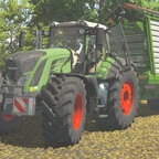 Fendt 936 Vario beim Grünroggen häckseln