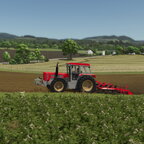 Ein Bär mit 8 Zylindern