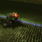 Pflanzenschutz in der Dämmerung!