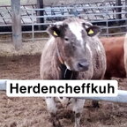 Ein par Bilder aus echter Landwirtschaft