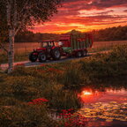 Case 1455XL in freier Wildbahn (*KI)