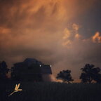 Ernte Romantik Anno 2011