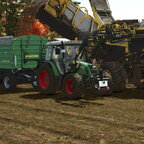 Kartoffelernte in vollem Gange