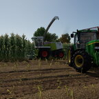 Maisernte in meiner Norwegen Karte.
