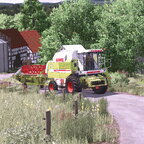 Haferdrusch