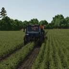 Field works