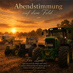 🌾 Abendstimmung auf dem Feld 🚜