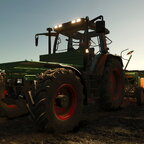 Sommerweizen verstecken