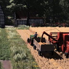 WIP Kallebach 02