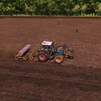 Mal eben blühende Zwischenfrucht sähen