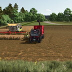 Field works