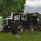Black Beauty :)