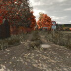 Herbst in Daheim