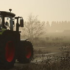 nebel