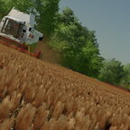 Lexion 480 & Lexion 8800 (Screenshot mode)
