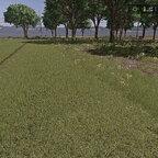 Test Gras Mähen mit CP