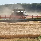 Ernte beobachten in Mecklenburg-Vorpommern