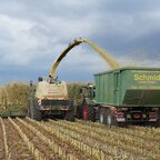 Krone Big X 1100 und Fendt Vario 718 S4 mit Wernsmann Hakenlift