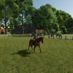 Zeit für einen entspannten Ausritt