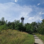 Auf dem Weg zum Aussichtsturm