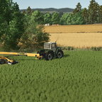 Field works