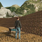 Die Tiere füttern XD