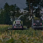 Hektar vorm Unwetter machen