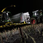 Maisernte in Ellerbach