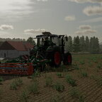 Grubbern auf der Steinbach