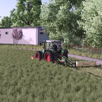 Silage im ersten Jahr