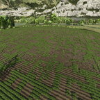 Interessantes Kunstwerk vom benachbarten Bauern XD